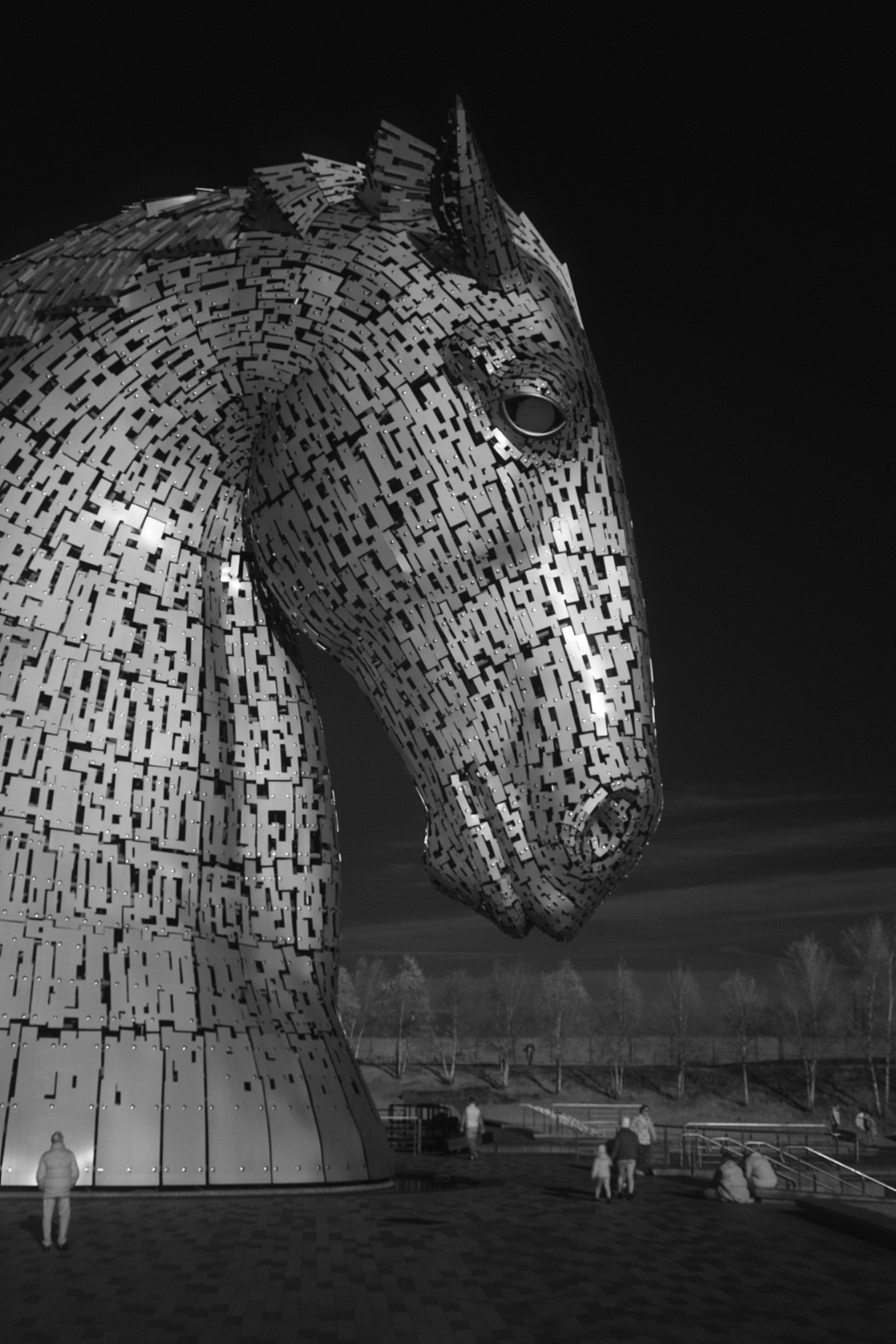 Kelpie27-1.jpg