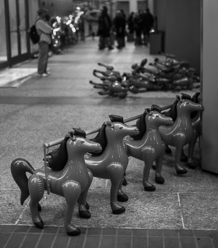 SF_CNY2014-19.jpg