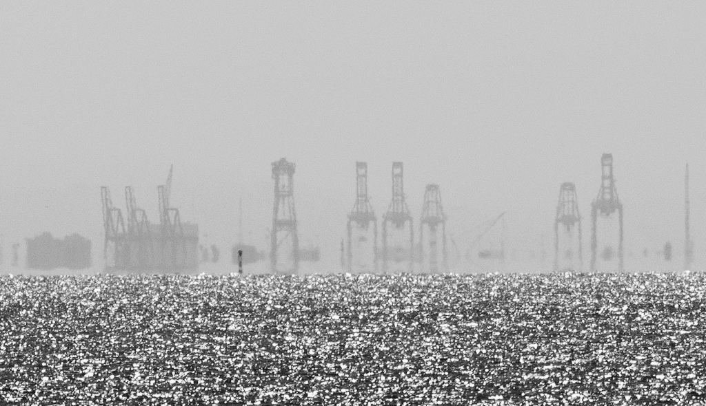 cranes.jpg